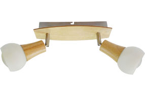 LSP-0120