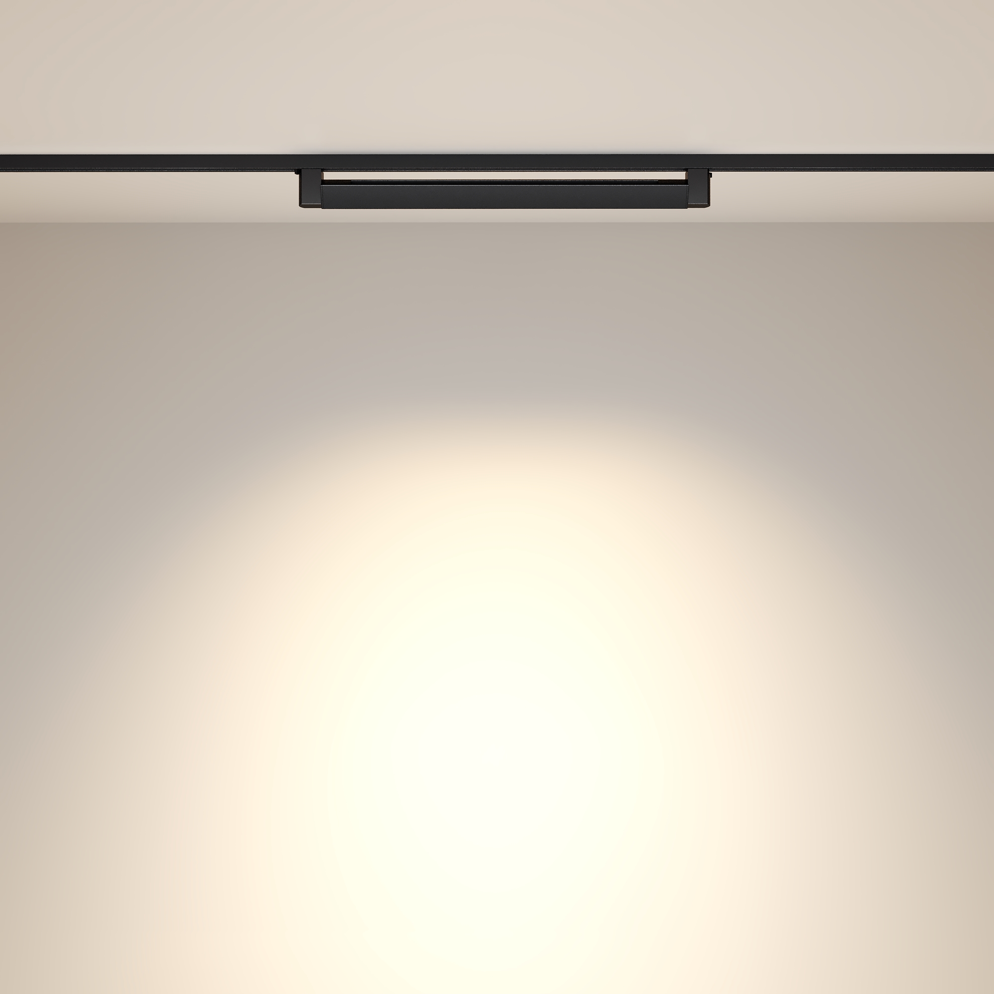 Трековый светильник Maytoni Points Rot TR010-1-20W3K-M-B_MY