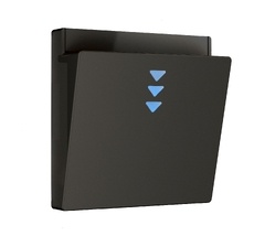 Накладка для электронного карточного выключателя черный Werkel a062006_WR