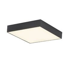 Потолочный светильник CitiLux Тао CL712X242N