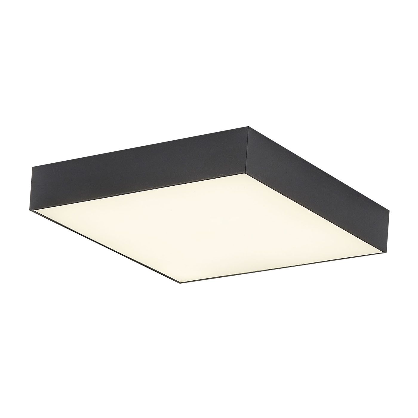Потолочный светильник CitiLux Тао CL712X242N