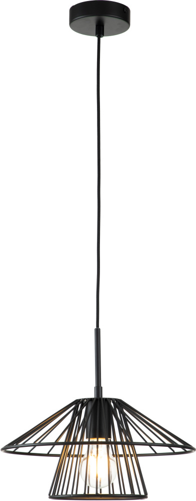 Подвесной светильник (10016/1P Black) Indigo V000286