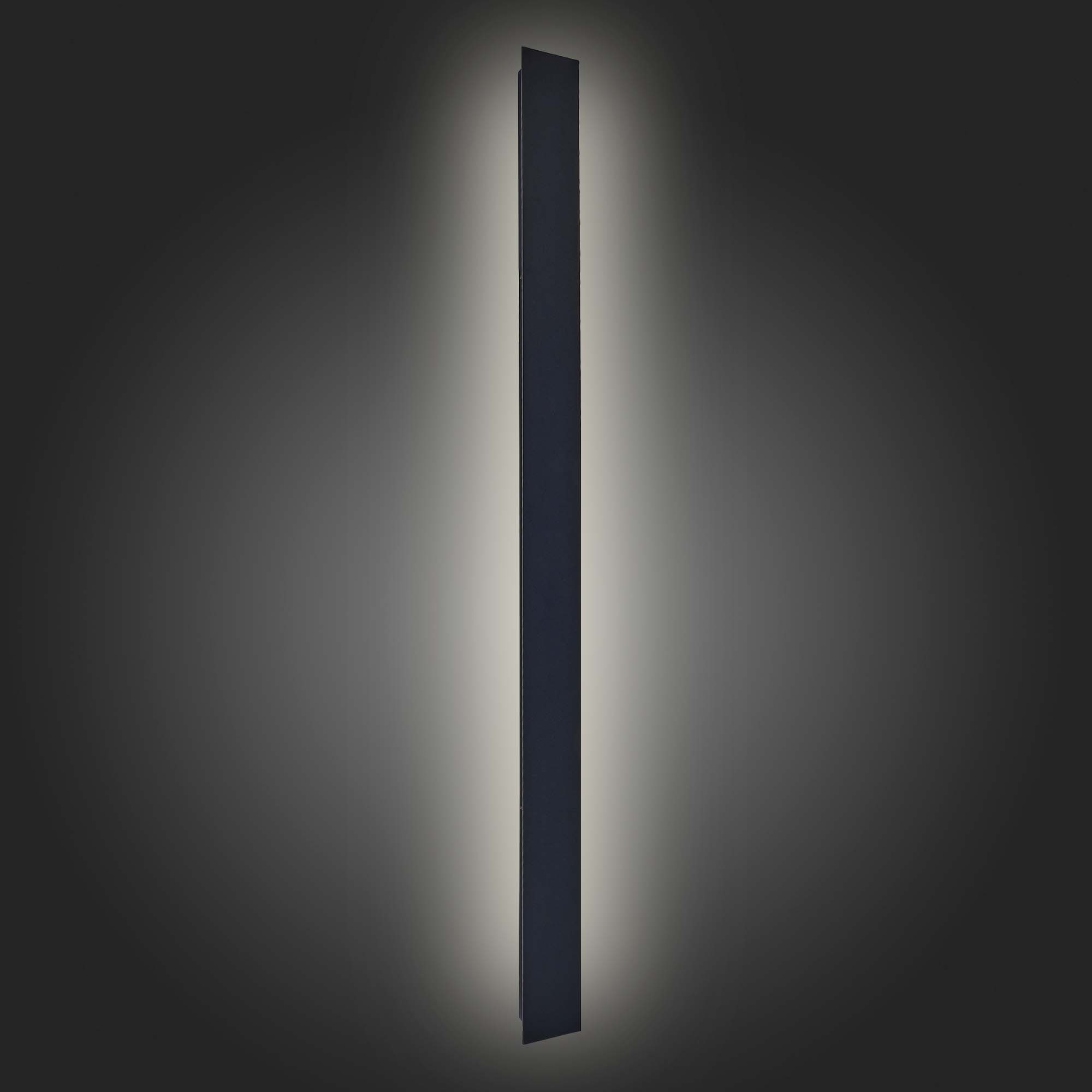 Светильник уличный настенный ST Luce NUVOLA Modern SL9511.421.01