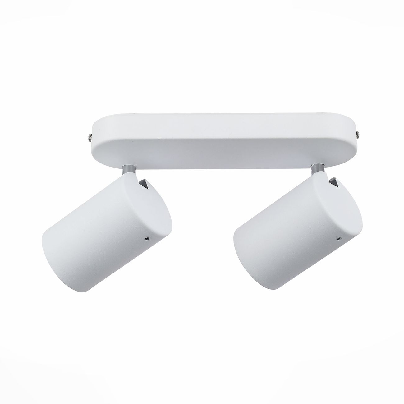 Спот ST Luce настенно-потолочный Fanale SL597.501.02