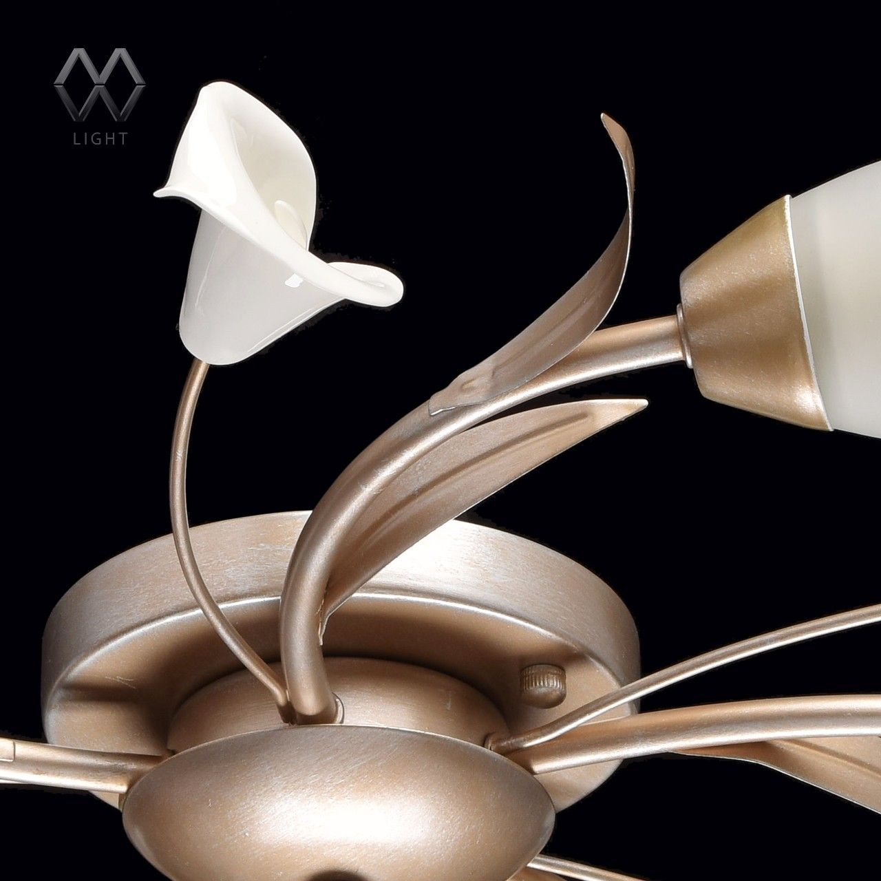 Потолочная люстра MW-Light Восторг 242016205_MW