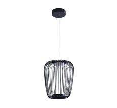 Подвесной светильник Arte Lamp FLARE A3528SP-12BK