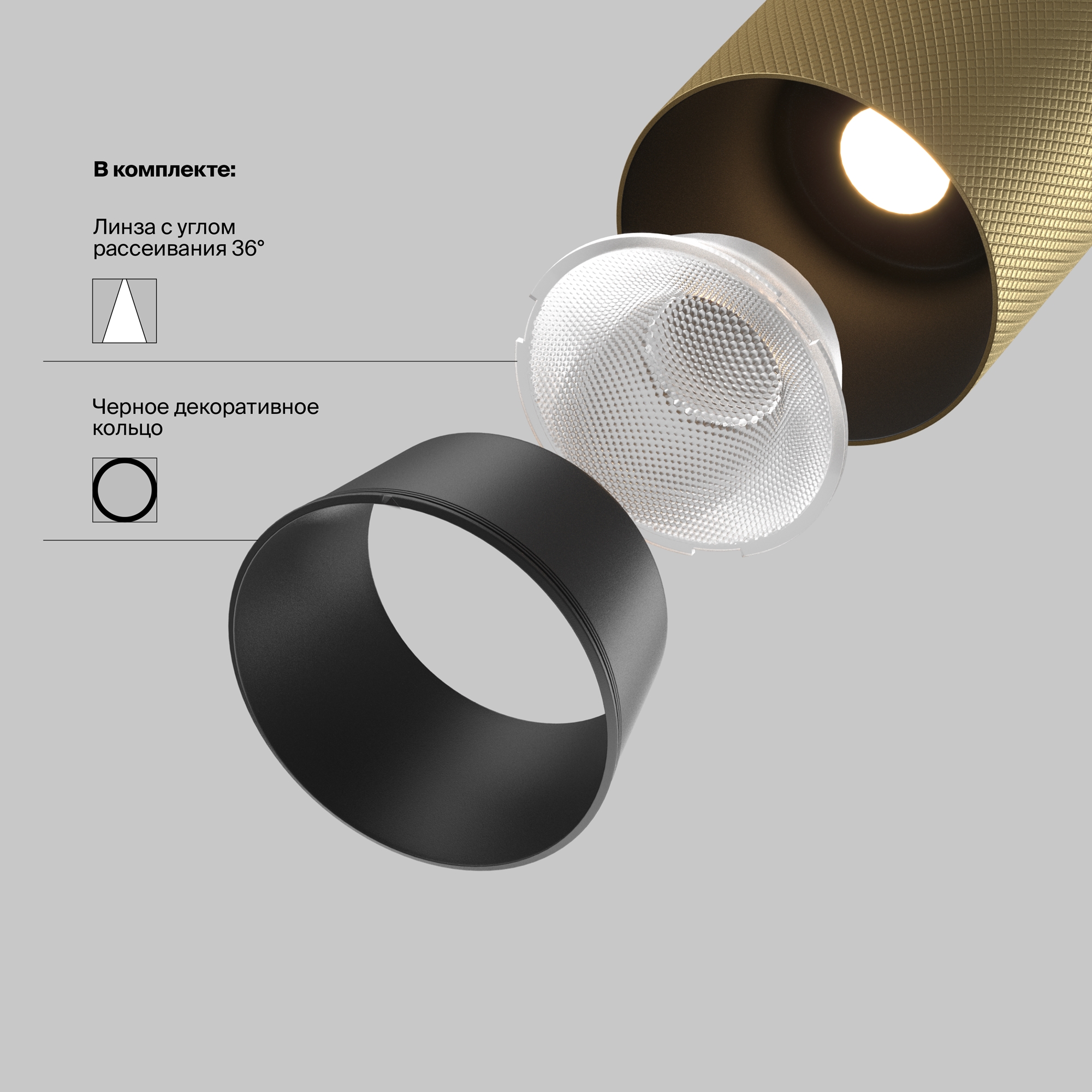 Трековый светильник Maytoni Artisan TR097-2-12W3K-M-BMG_MY