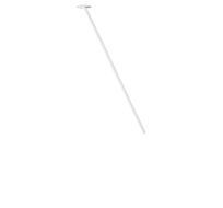 Потолочный светильник LOFT IT Cane 10359/800 White_LF