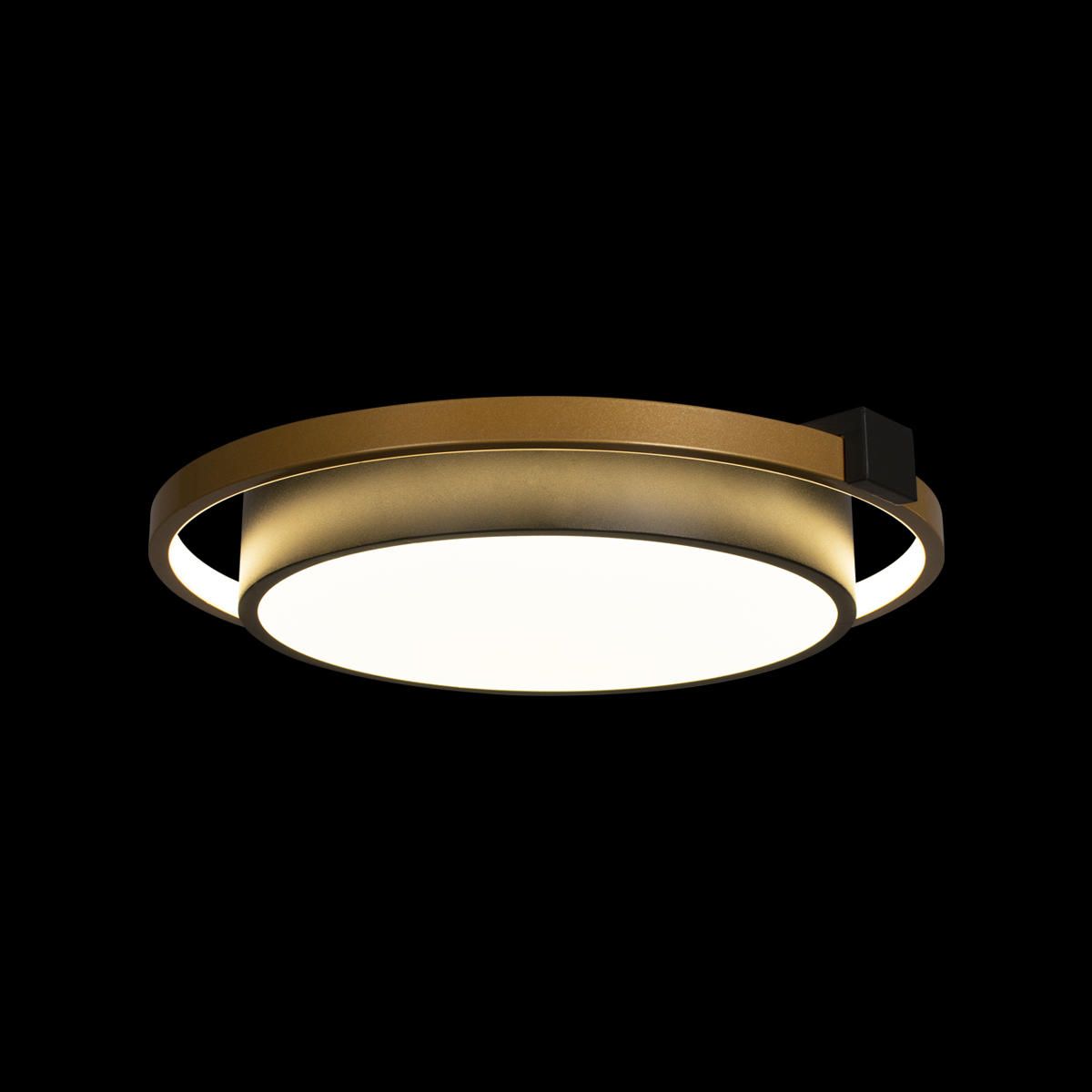 Потолочный светильник Loft IT Mike 10169_LF