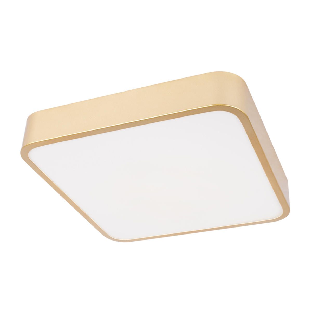 Потолочный светильник LOFT IT Flims 10228/C_LF