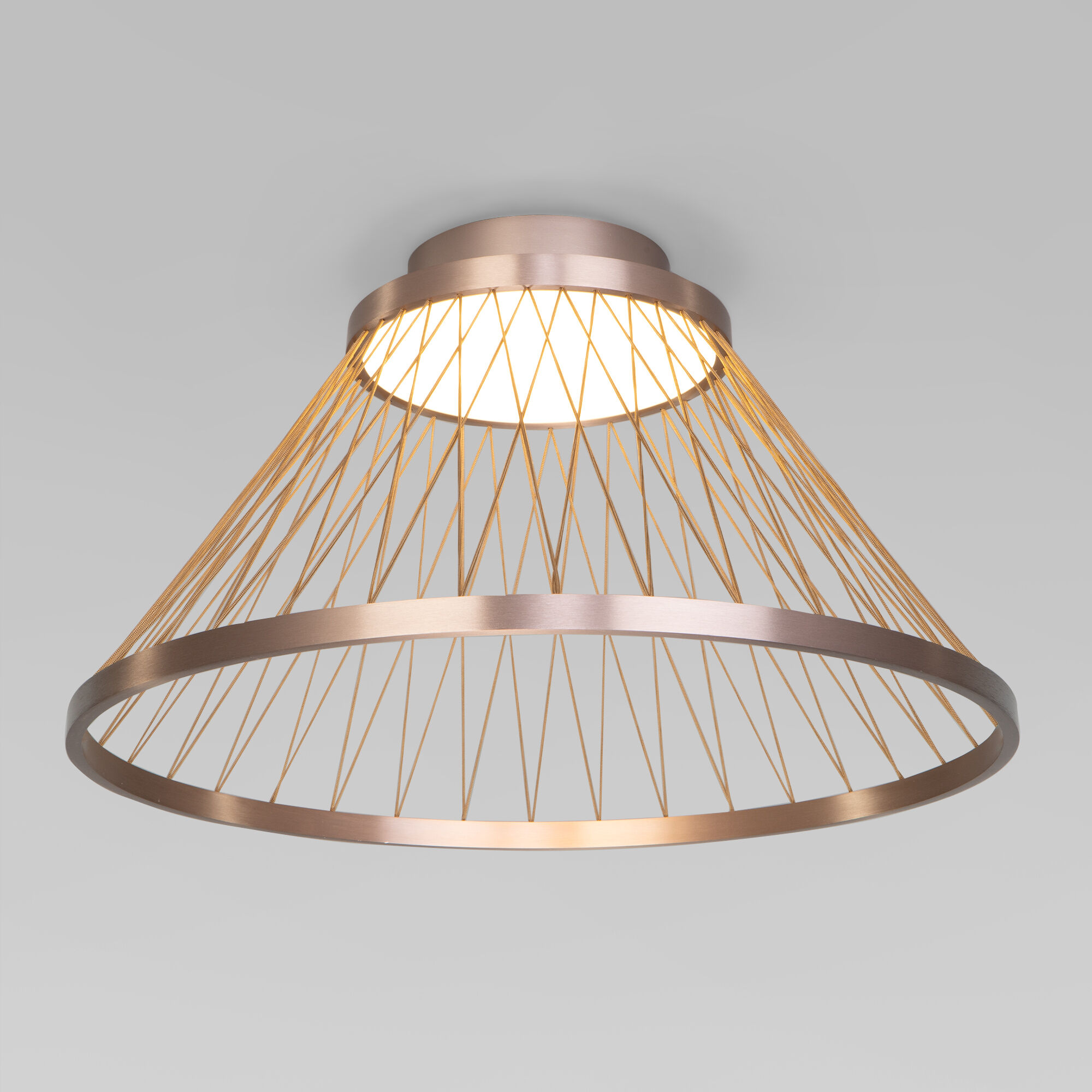 Потолочный светильник Eurosvet Cesta a069291_EU