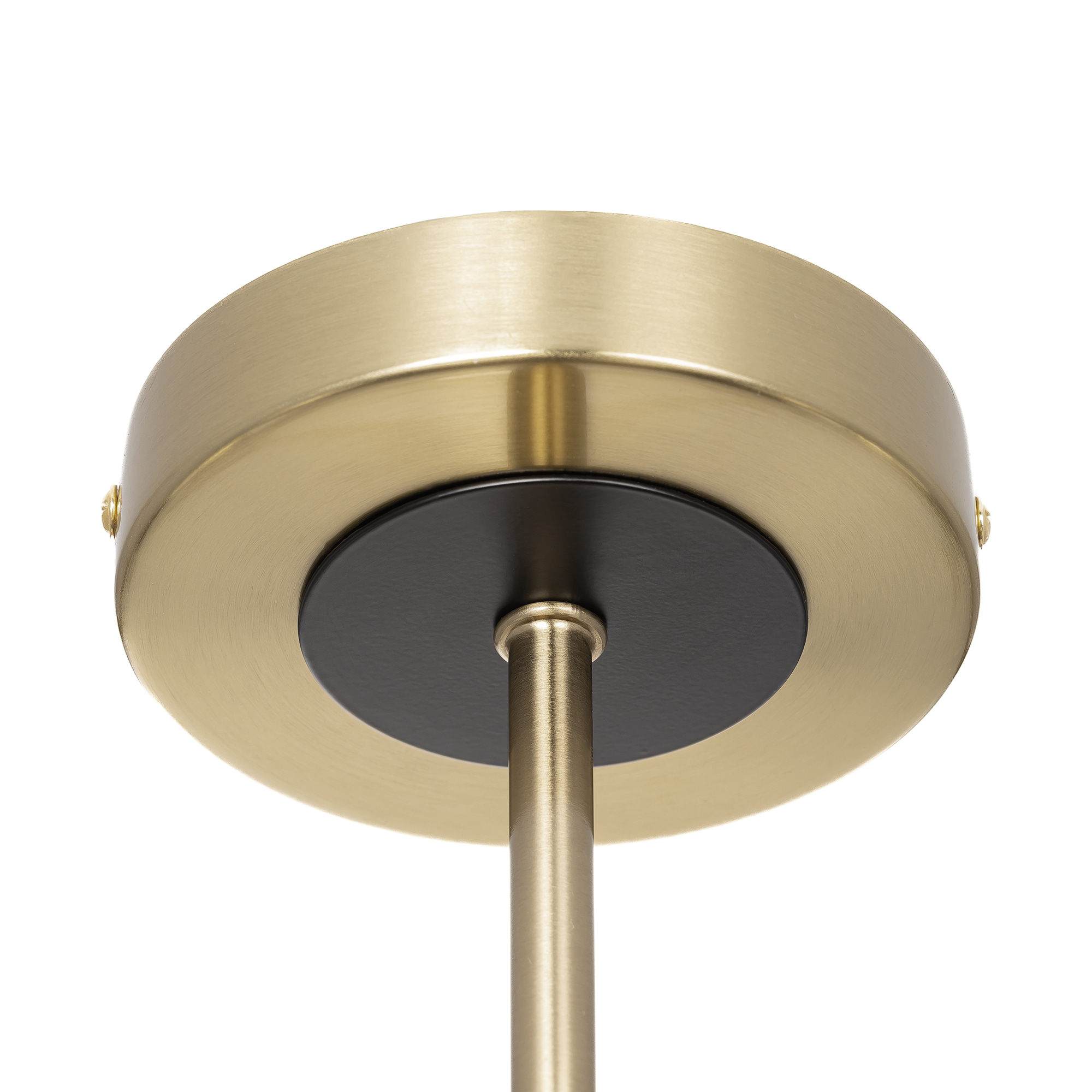 Потолочная люстра на штанге Citilux ALTON CL421273