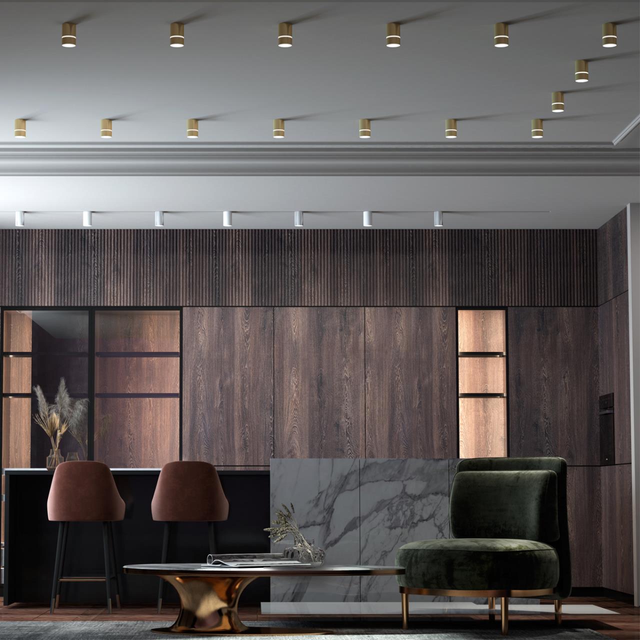 Потолочный светильник Novotech накладной ELINA 370734