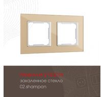 Рамка из закаленного стекла на 2 поста Arte Milano 503.02-2.shampan