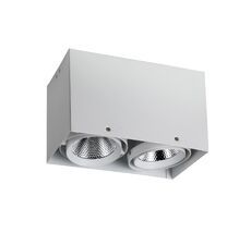 Накладной светильник Favourite Flashled 1986-2U