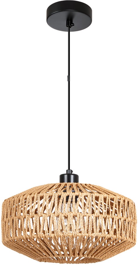 Подвесной светильник Arte Lamp Brushwood A7087SP-1BK