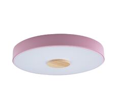 Потолочный светильник Loft IT Axel 10003/24 Pink_LF