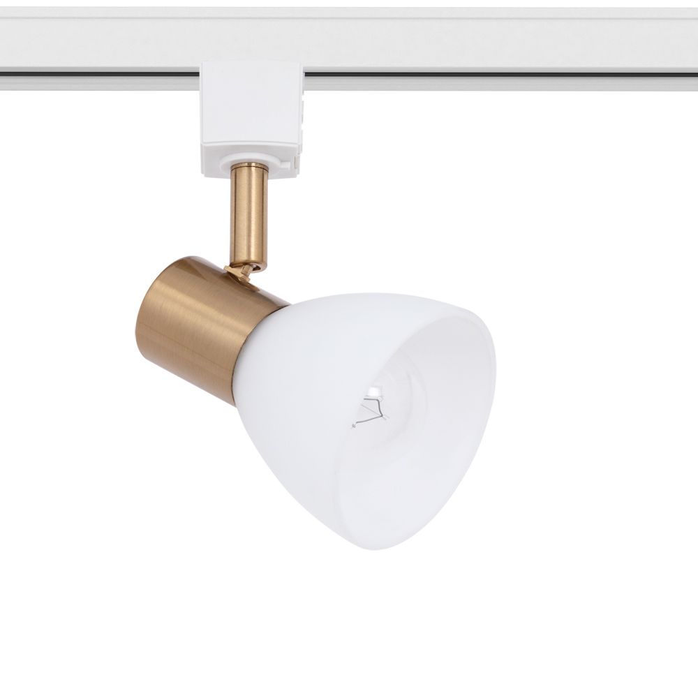 Трековый светильник однофазный ArteLamp FALENA A3117PL-1WH