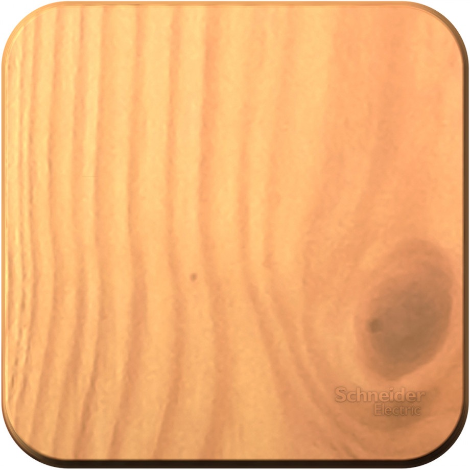 Выключатель накладной одноклавишный (ясень) Systeme Electric BLNVA106015