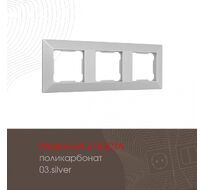 Рамка из поликарбоната на 3 поста Arte Milano 503.03-3.silver