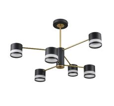 Потолочная люстра Lumion LANIKA 8240/6C