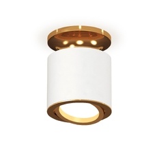 Комплект накладного поворотного светильника Ambrella light TECHNO SPOT XS7401120_AMB