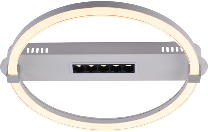 Люстра потолочная светодиодная на 10 м? (+ночной режим) с пультом Escada 10253/1LED_ESC