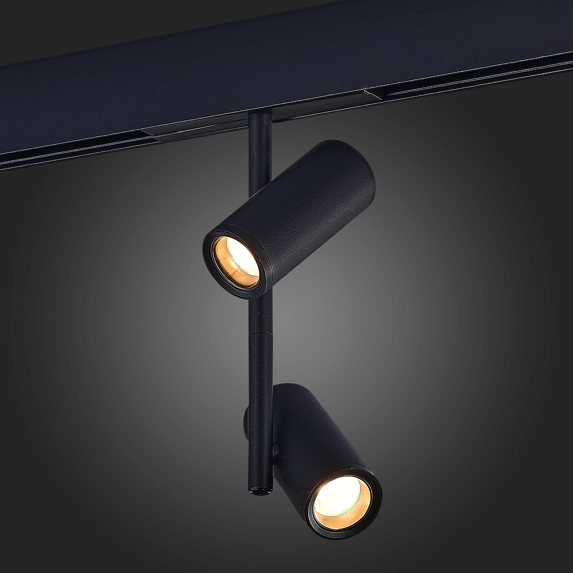 Магнитный трековый светильник ST LUCE SKYLINE 48 ST808.436.16