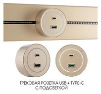 Трековая розетка Arte Milano track-sockets 399732TS/USB-Type-C Gold