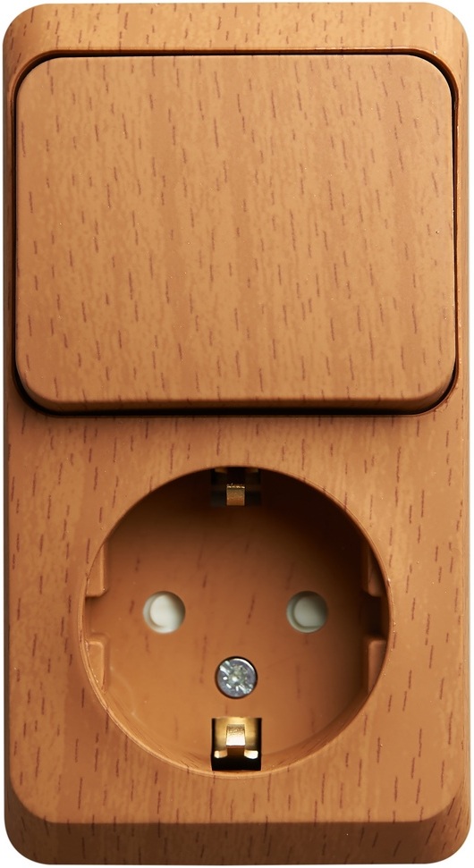 Розетка накладная с заземлением с одноклавишным выключателем (бук) Systeme Electric BPA16-201T