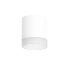 Накладной светильник LightStar Rullo R348680_LS