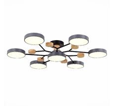 Потолочная люстра Evoluce FAEMA SLE6006-702-07