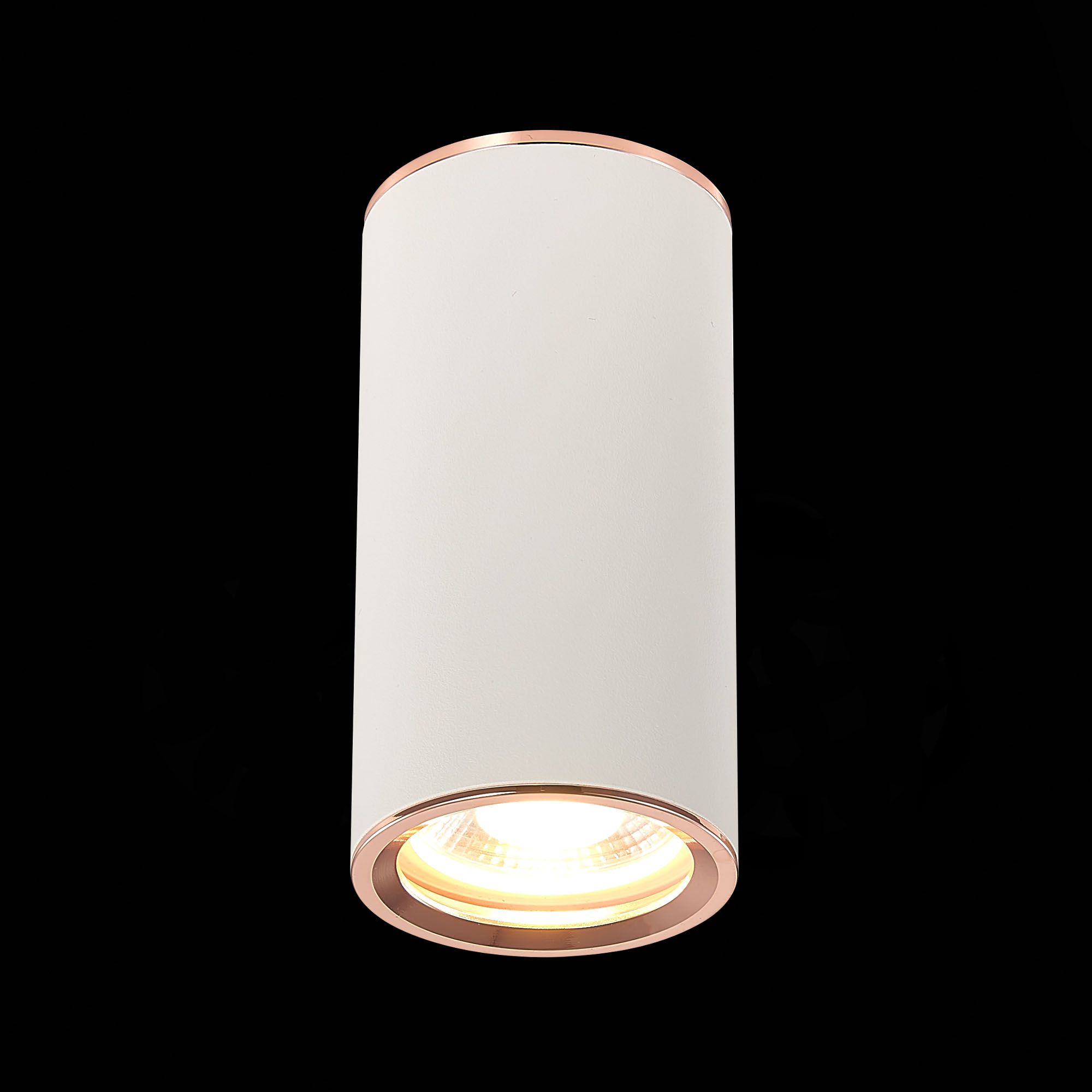 Потолочный светильник ST Luce CHOMUS ST111.527.01