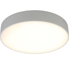 Потолочный светильник круглый светодиодный Aployt APL.0113.09.24