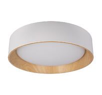 Потолочный светильник Loft IT Coin 10202 White_LF