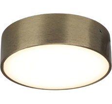 Потолочный светильник круглый светодиодный Aployt APL.0113.29.12