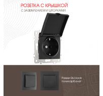 Розетка с заземлением шторками и защитной крышкой 16A 250V Arte Milano 206.41-1.black