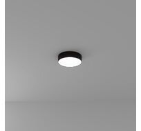 Потолочный светильник Arte Lamp FADO A6620PL-1BK