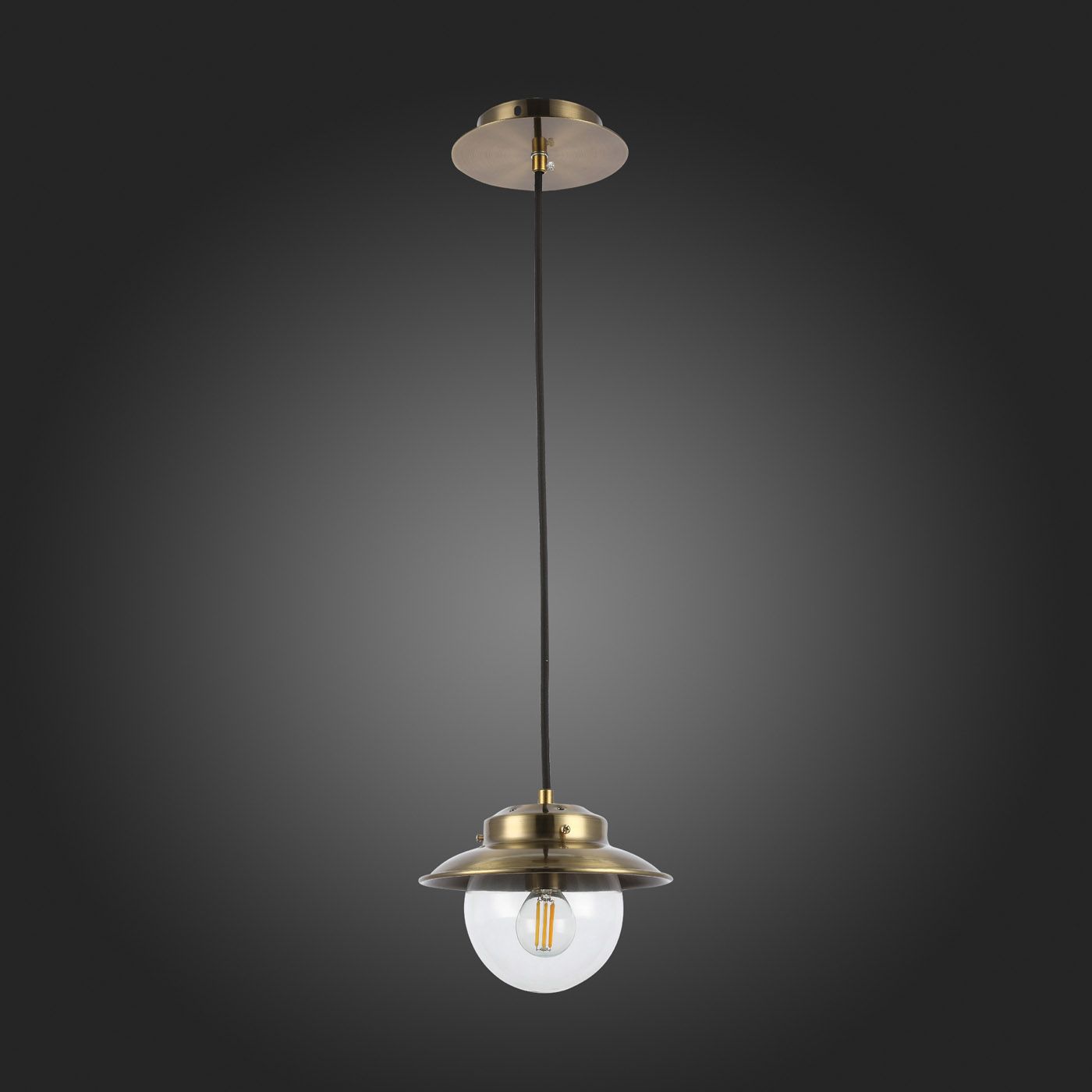 Подвесной светильник Evoluce GARONNI SLE110103-01