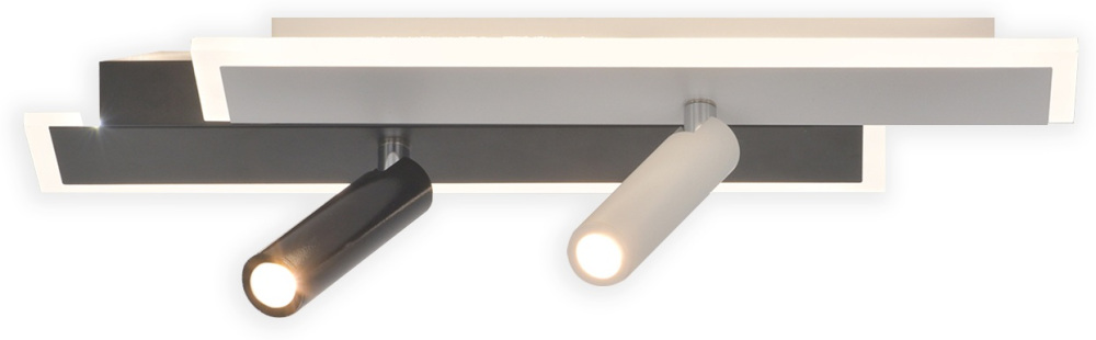 Настенно-потолочный светодиодный светильник 20047LED 20047SMA/01LED WH/BK 21Вт, металл/акрил, белый/черный Escada 20047SMA/01LED WH/BK_ESC