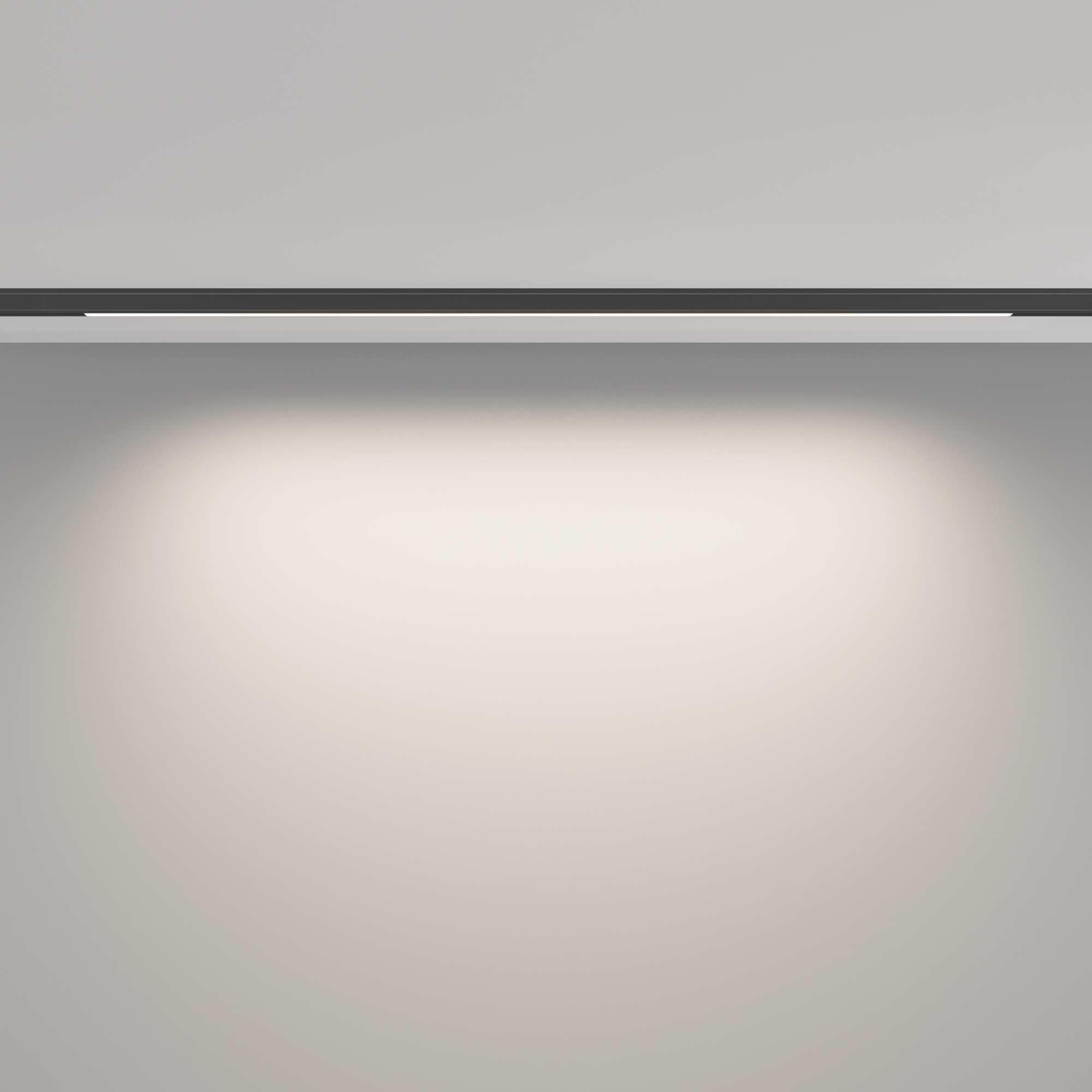 Трековый светильник Maytoni Basis TR190-1-10W4K-B_MY