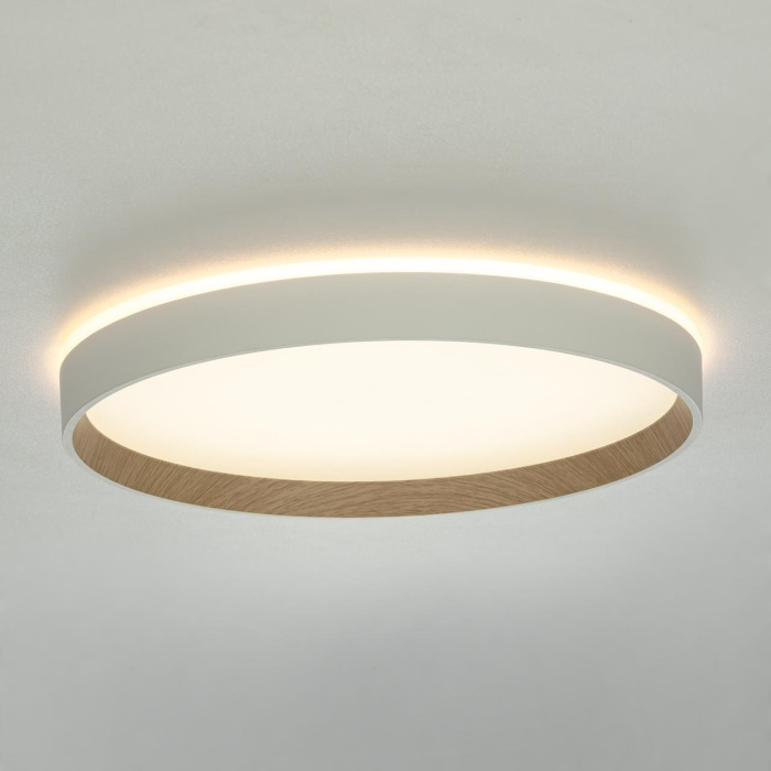 Потолочный светильник Citilux Etalon CL750320R