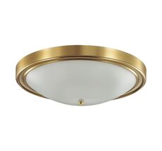 Настенно-потолочный светильник Lumion NINA 5259/4C