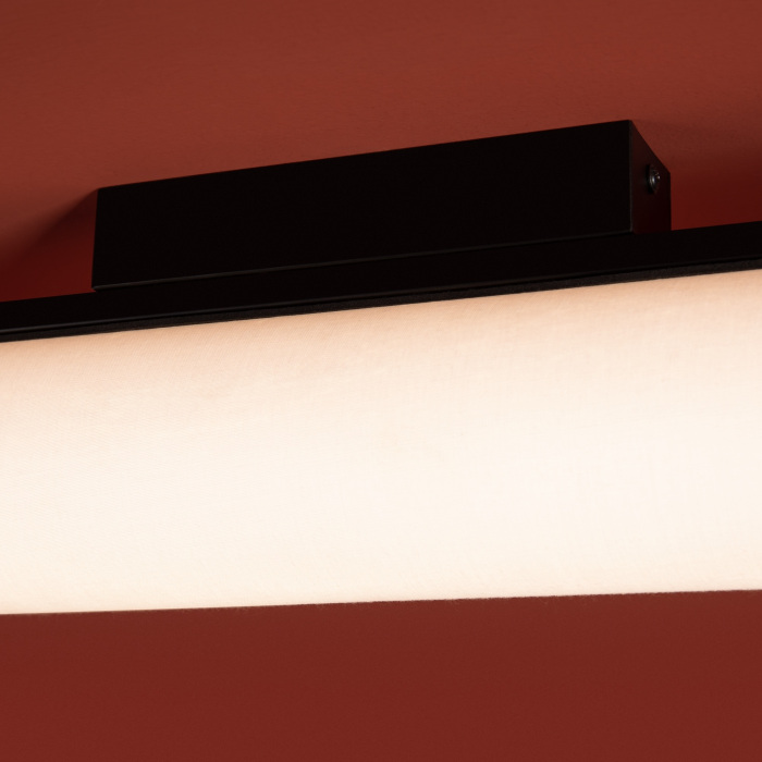 Потолочный светильник Freya FR5625CL-L20B_MY