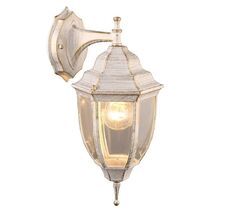 Настенный уличный светильник Pegasus A3152AL-1WG