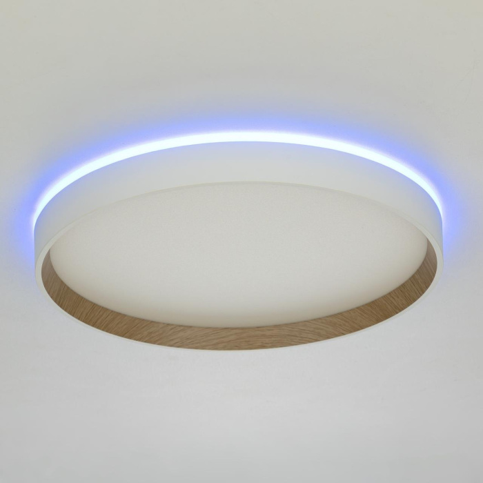 Потолочный светильник Citilux Etalon CL750320R