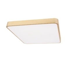 Потолочный светильник LOFT IT Flims 10228/D_LF