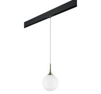 Трековый светильник подвесной Lightstar Globo PRO813031_LS