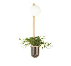 Настенный светильник Odeon Light FLOWER 4682/1WB