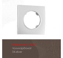 Рамка из поликарбоната на 1 пост Arte Milano 502.04-1.silver